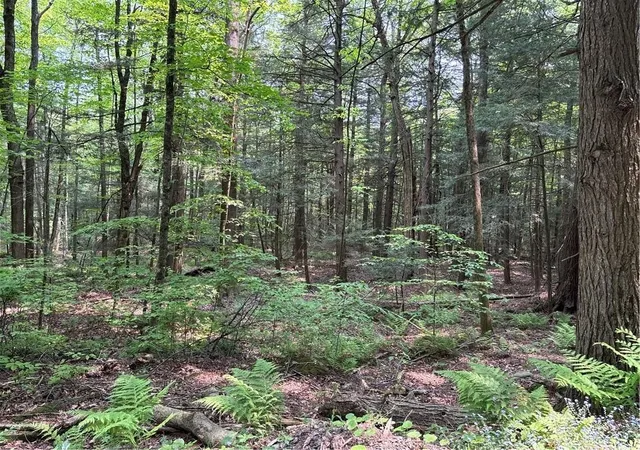 2nd image of Spring Rd S, Dansville, NY 14437 | MLS# R1693600