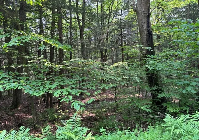 3rd image of Spring Rd S, Dansville, NY 14437 | MLS# R1693600