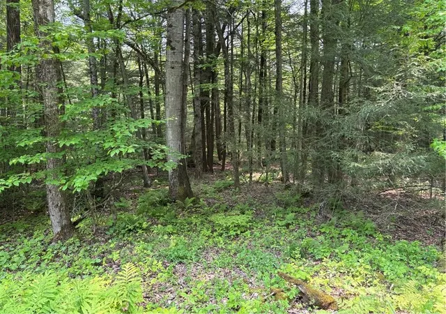 4th image of Spring Rd S, Dansville, NY 14437 | MLS# R1693600