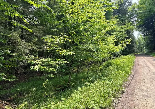 5th image of Spring Rd S, Dansville, NY 14437 | MLS# R1693600