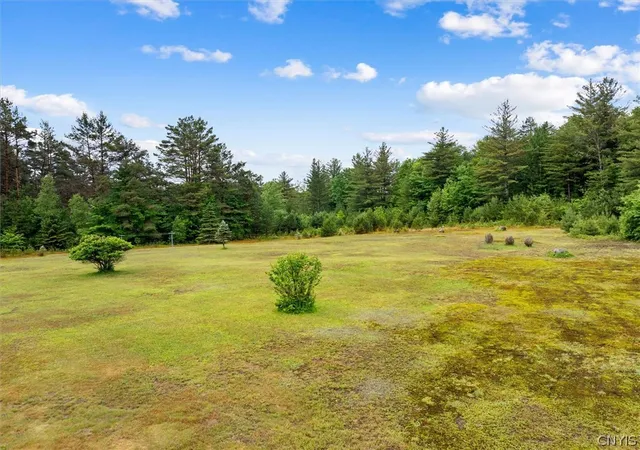 Homes for sale in Forestport, NY | 11539 State Route 28, Forestport, NY 13338 | MLS# S1693497