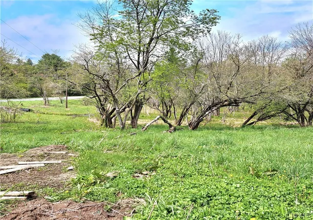 Homes for sale in Amboy, NY | 226 Nichols Rd, Amboy, NY 13493 | MLS# S1688128