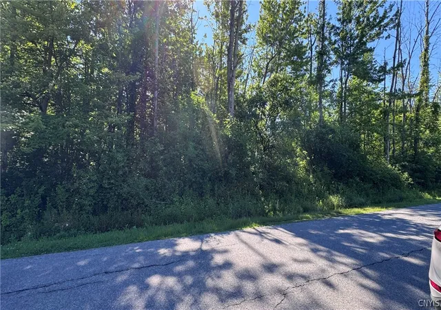 2nd image of Lewis Point Rd, Canastota, NY 13032 | MLS# S1693673