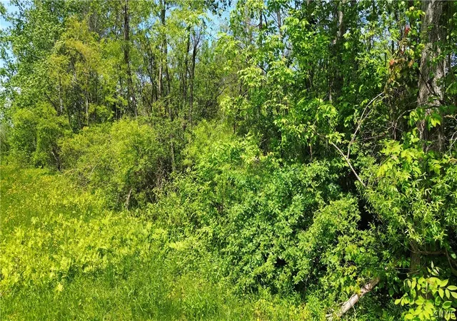 Photo 15 of Sale Pending at 7630 Wall St Rd, Wolcott, NY 14590 | MLS# S1693724 | Listing updated on 2026-07-27