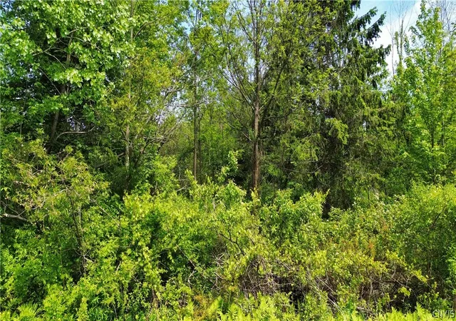 Photo 3 of Sale Pending at 7630 Wall St Rd, Wolcott, NY 14590 | MLS# S1693724 | Listing updated on 2026-07-27