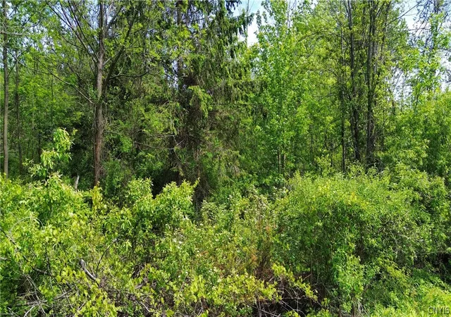 Photo 5 of Sale Pending at 7630 Wall St Rd, Wolcott, NY 14590 | MLS# S1693724 | Listing updated on 2026-07-27