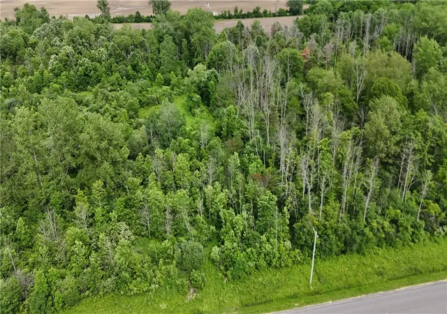 Homes for sale in Barre, NY | 0 Shelby Barre Townline Rd, Barre, NY 14411 | MLS# R1693734