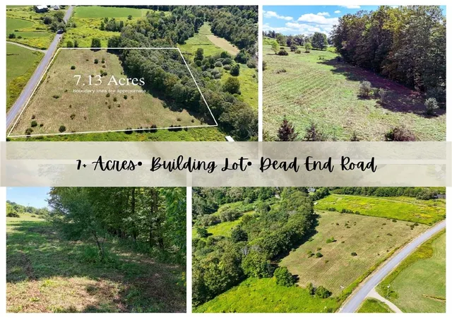 Homes for sale in Franklin, NY | 100 Pomeroy Rd, Franklin, NY 13775 | MLS# R1693259