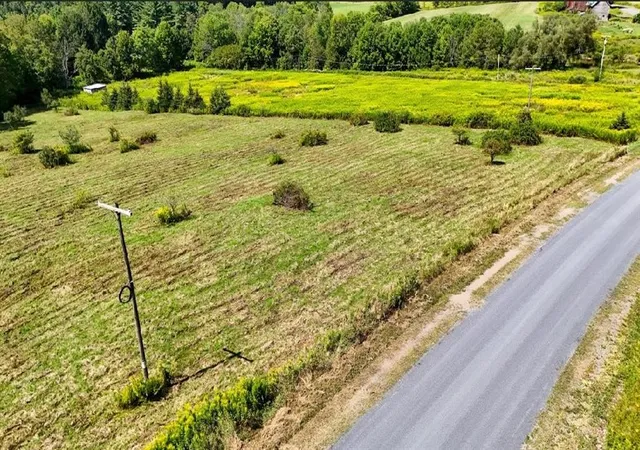 Homes for sale in Franklin, NY | 100 Pomeroy Rd, Franklin, NY 13775 | MLS# R1693259