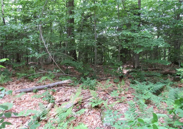 Homes for sale in Webb, NY | Palisades Rd, Webb, NY 13420 | MLS# S1692214