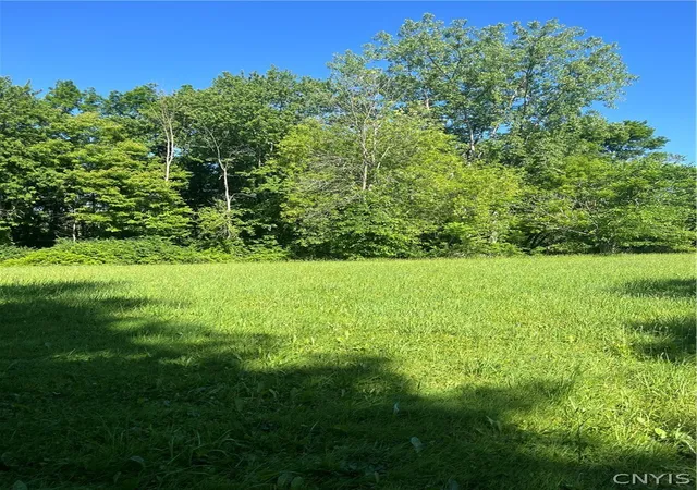 Homes for sale in Conquest, NY | 00 Stickles Ln, Conquest, NY 13140 | MLS# S1692726