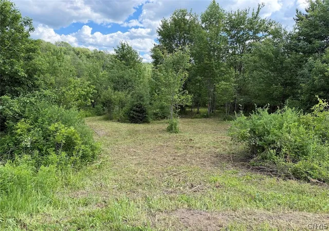Homes for sale in Franklinville, NY | Reynolds Rd, Franklinville, NY 14737 | MLS# S1693903