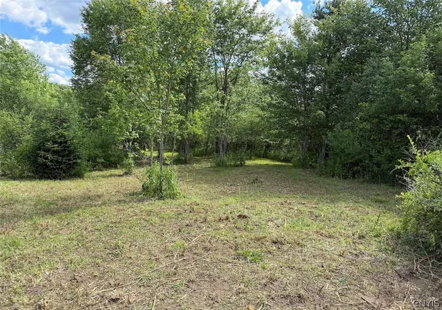 Homes for sale in Franklinville, NY | Reynolds Rd, Franklinville, NY 14737 | MLS# S1693903