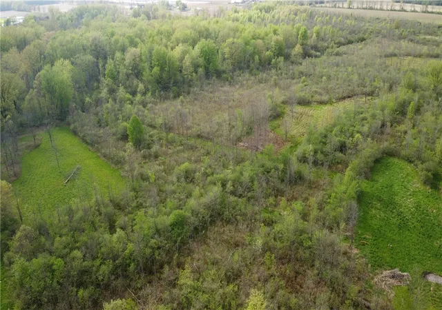 Homes for sale in Seneca Falls, NY | Clinton St, Seneca Falls, NY 13148 | MLS# R1693718