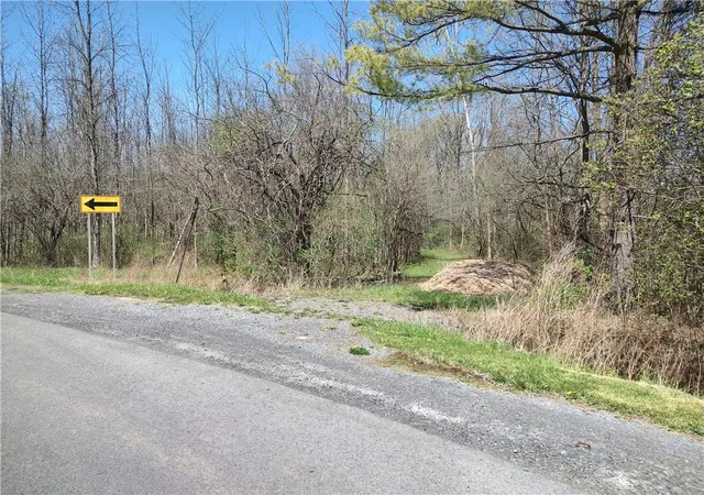 Homes for sale in Seneca Falls, NY | Clinton St, Seneca Falls, NY 13148 | MLS# R1693718