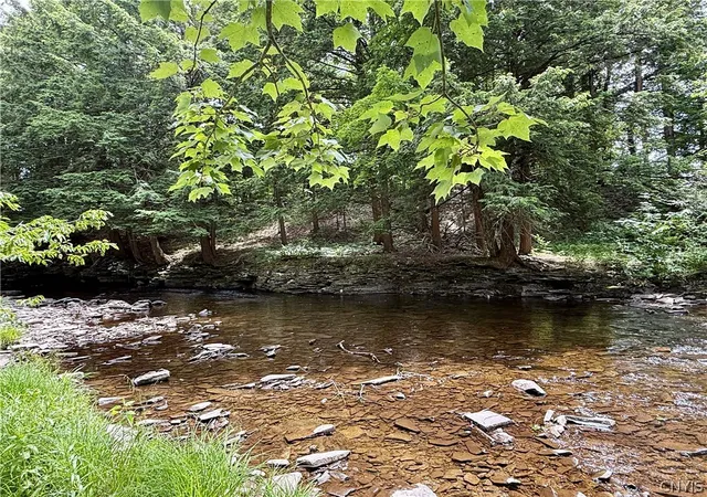 Homes for sale in Camden, NY | 2168 Mad River Rd, Camden, NY 13316 | MLS# S1693565