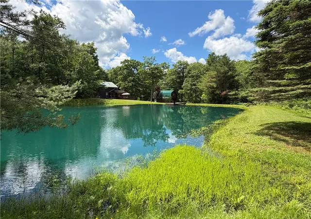 Homes for sale in New Hudson, NY | 6891 Mount Monroe Rd, New Hudson, NY 14727 | MLS# R1694148