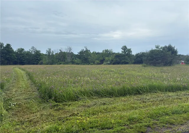 Photo 1 of Sale Pending at 00 Starr Hl Rd, Remsen, NY 13438 | MLS# S1694241 | Listing updated on 2026-06-29