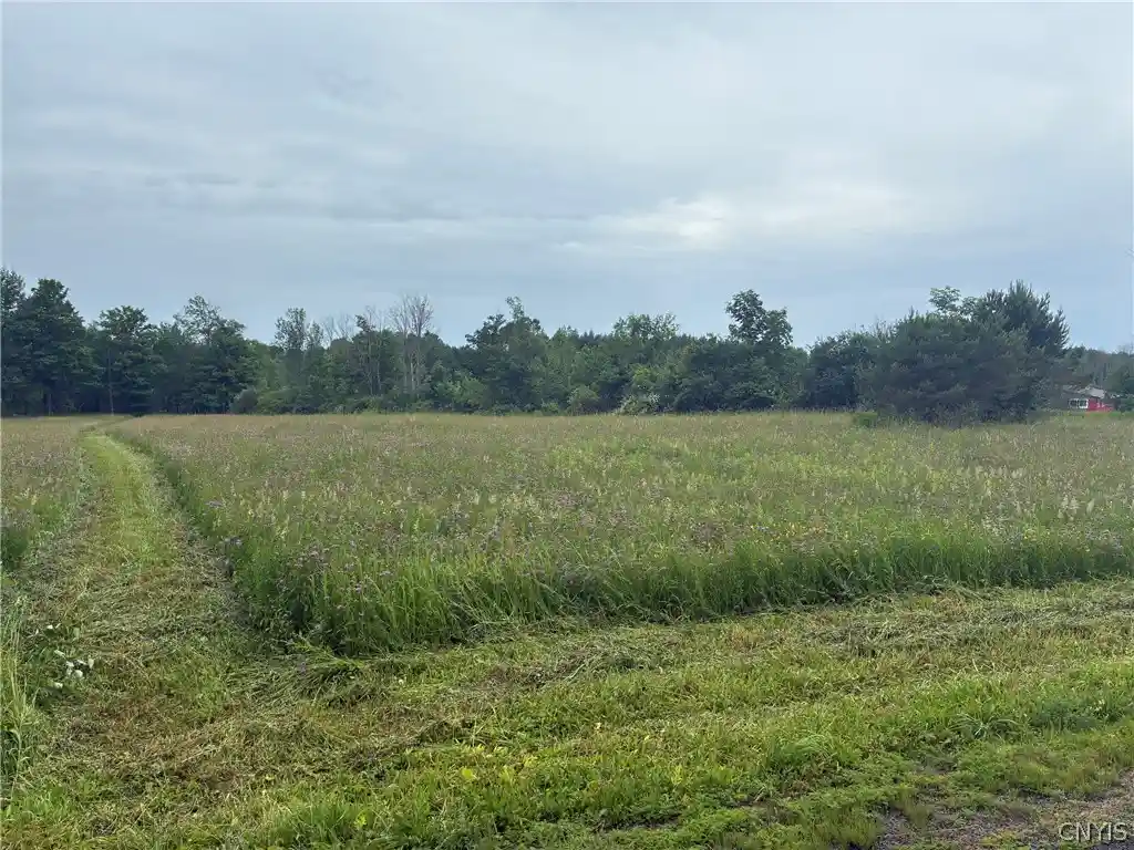 Photo 1 of Sale Pending at 00 Starr Hl Rd, Remsen, NY 13438 | MLS# S1694241 | Listing updated on 2026-06-29