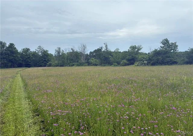 Photo 2 of Sale Pending at 00 Starr Hl Rd, Remsen, NY 13438 | MLS# S1694241 | Listing updated on 2026-06-29