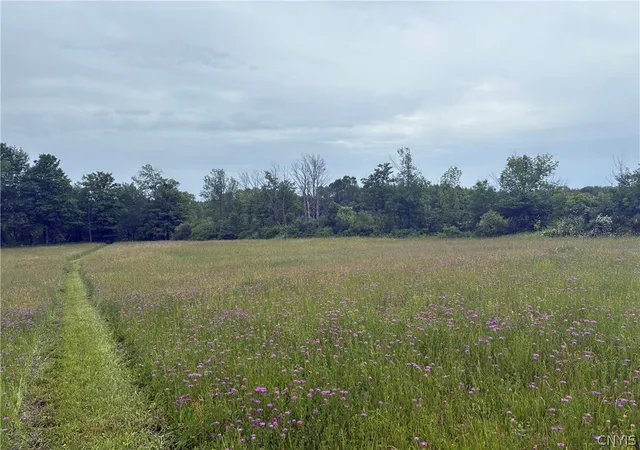 Photo 3 of Sale Pending at 00 Starr Hl Rd, Remsen, NY 13438 | MLS# S1694241 | Listing updated on 2026-06-29