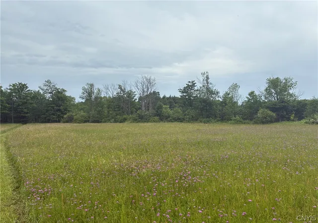 Photo 4 of Sale Pending at 00 Starr Hl Rd, Remsen, NY 13438 | MLS# S1694241 | Listing updated on 2026-06-29