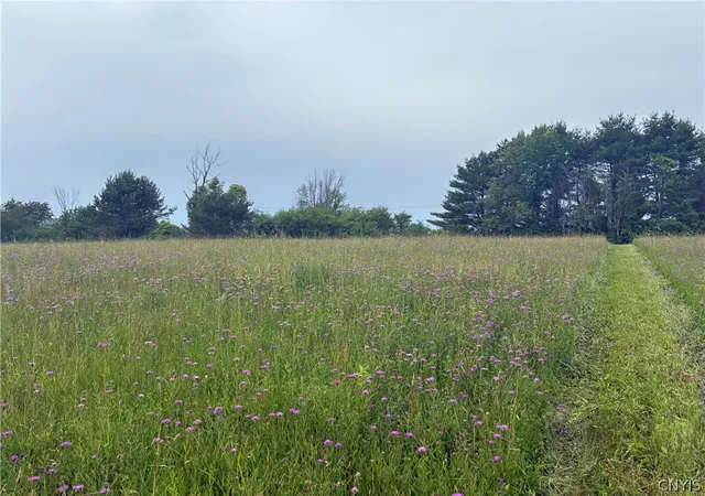 Photo 5 of Sale Pending at 00 Starr Hl Rd, Remsen, NY 13438 | MLS# S1694241 | Listing updated on 2026-06-29