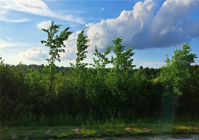 Photo 4 of Land for sale at Cr 17, Hermon, NY 13652 | MLS# S1694376 | Listing updated on 2026-06-28
