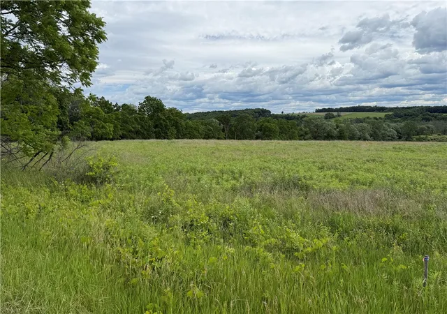 Homes for sale in Enfield, NY | Tucker Rd, Enfield, NY 14886 | MLS# R1693997