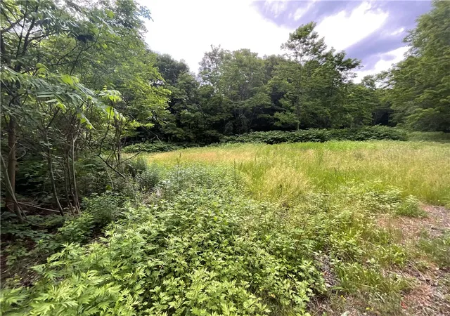 2nd image of 7537 East Ave, Springwater, NY 14560 | MLS# R1693739