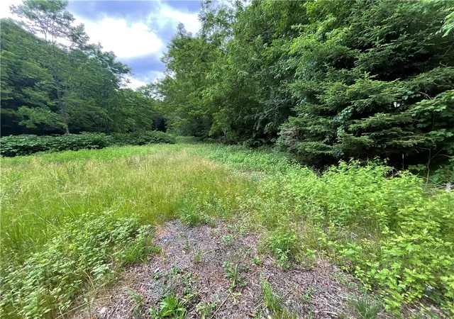 3rd image of 7537 East Ave, Springwater, NY 14560 | MLS# R1693739
