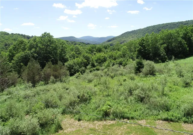 Homes for sale in Andes, NY | 2636 Murphy Hill Rd, Andes, NY 13731 | MLS# R1694147