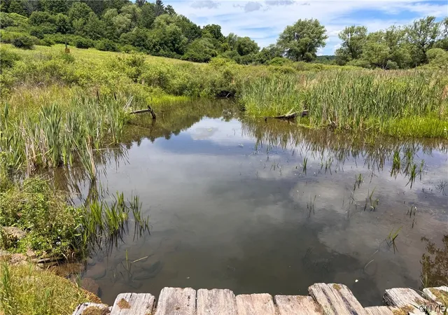 2nd image of 0 E Lake Rd, Hamilton, NY 13346 | MLS# S1692600