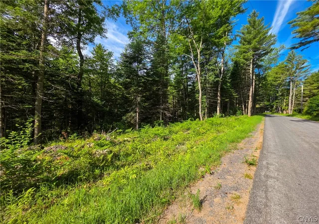 Homes for sale in Greig, NY | Fish Creek Rd, Greig, NY 13345 | MLS# S1694650