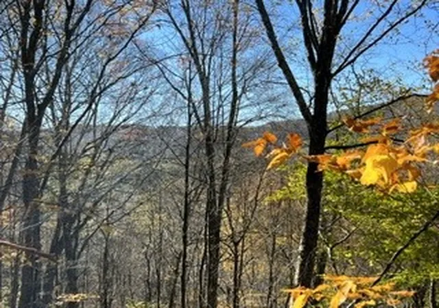 Photo 1 of Land for sale at Lot 14920 2 3 Delaware Ave, Delhi, NY 13753 | MLS# R1694694 | Listing updated on 2026-07-15