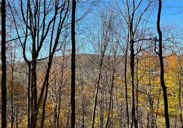 Photo 2 of Land for sale at Lot 14920 2 3 Delaware Ave, Delhi, NY 13753 | MLS# R1694694 | Listing updated on 2026-07-15