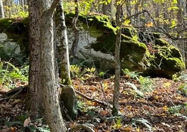 Photo 3 of Land for sale at Lot 14920-2-3 Delaware Ave, Delhi, NY 13753 | MLS# R1694694 | Listing updated on 2026-07-15