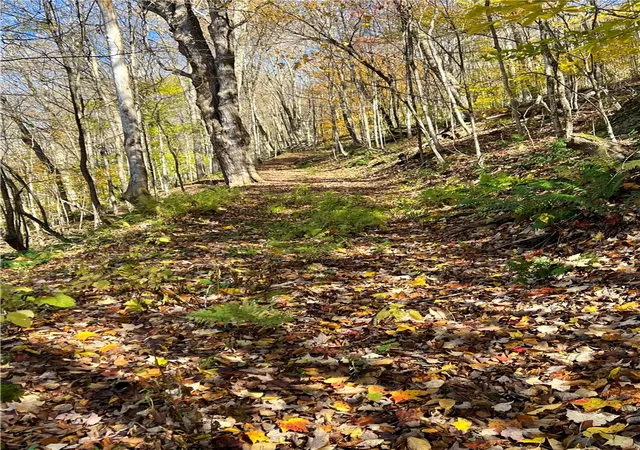 Photo 4 of Land for sale at Lot 14920-2-3 Delaware Ave, Delhi, NY 13753 | MLS# R1694694 | Listing updated on 2026-07-15