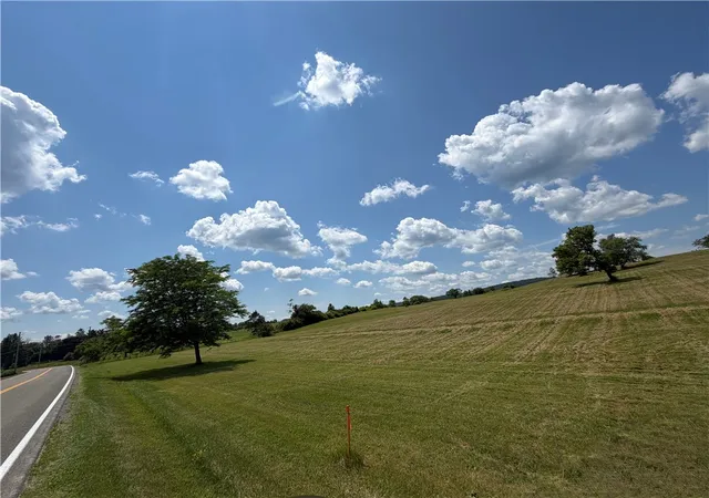 Homes for sale in Veteran, NY | Middle Rd, Veteran, NY 14845 | MLS# R1694190