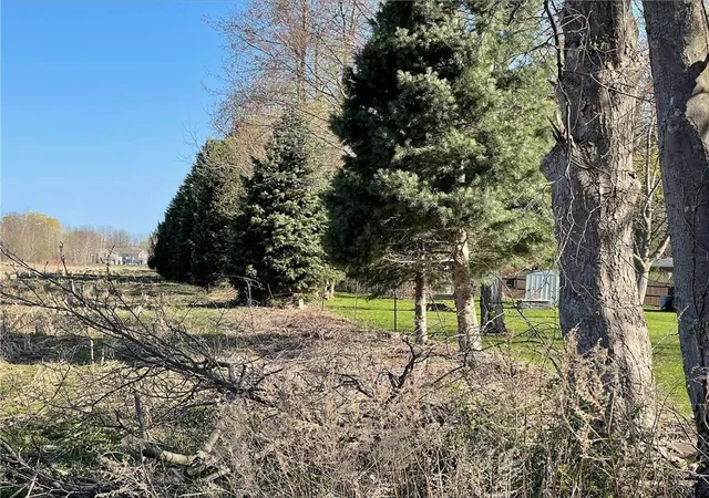 Homes for sale in Palmyra, NY | 00 Division St, Palmyra, NY 14522 | MLS# R1694922