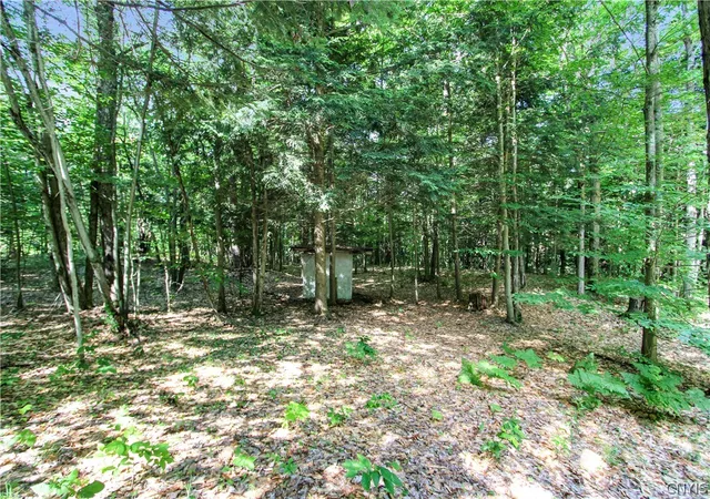 Homes for sale in Croghan, NY | 9897 Croghan Reservoir Rd, Croghan, NY 13327 | MLS# S1695047