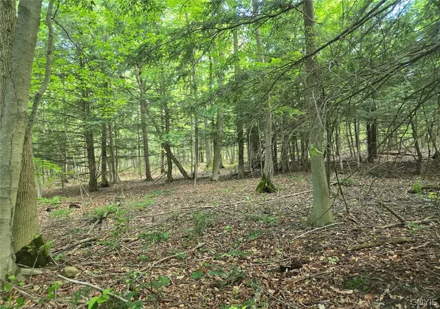 Photo 37 of Sale Pending at 7988 Dowd Rd, Fillmore, NY 14735 | MLS# S1695054 | Listing updated on 2026-07-20