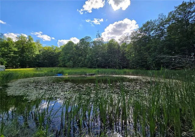 Photo 4 of Sale Pending at 7988 Dowd Rd, Fillmore, NY 14735 | MLS# S1695054 | Listing updated on 2026-07-20