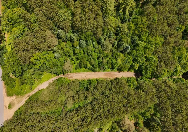 Homes for sale in Forestport, NY | Bellingertown Rd, Forestport, NY 13338 | MLS# S1685634