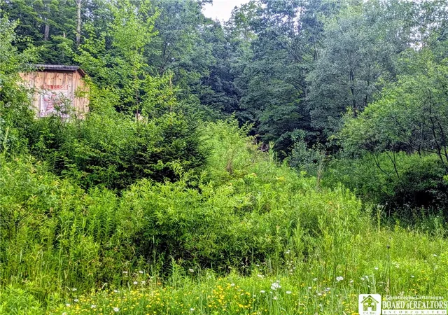 4th image of 1186 28Th Creek Rd, Kennedy, NY 14747 | MLS# R1695116