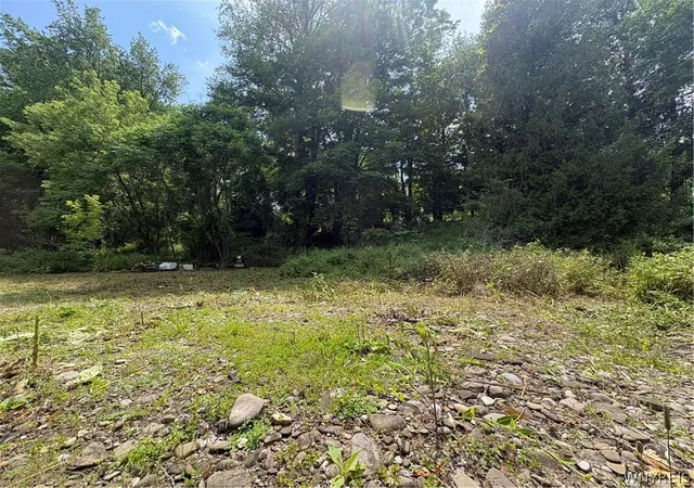 Homes for sale in Hume, NY | 11557 Mill St, Hume, NY 14536 | MLS# B1695337