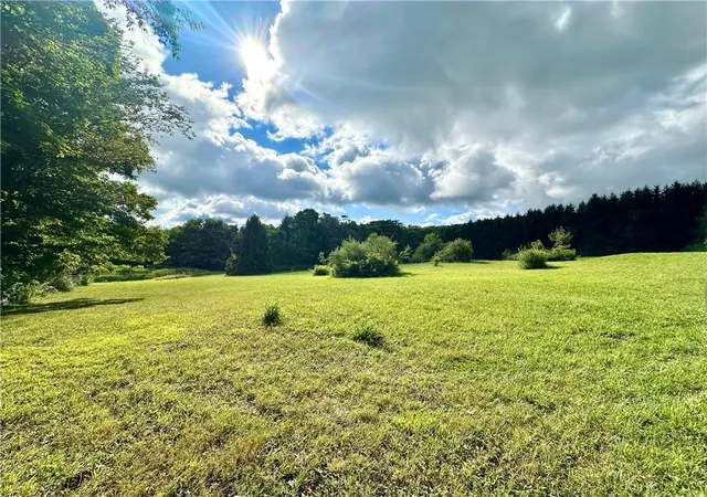 Homes for sale in Naples, NY | 0 Lanning Rd, Naples, NY 14512 | MLS# R1694575