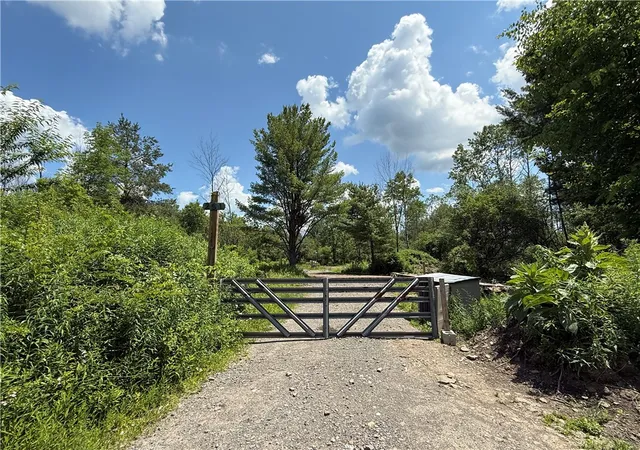Homes for sale in Dryden, NY | Caswell Rd, Dryden, NY 13068 | MLS# R1694833