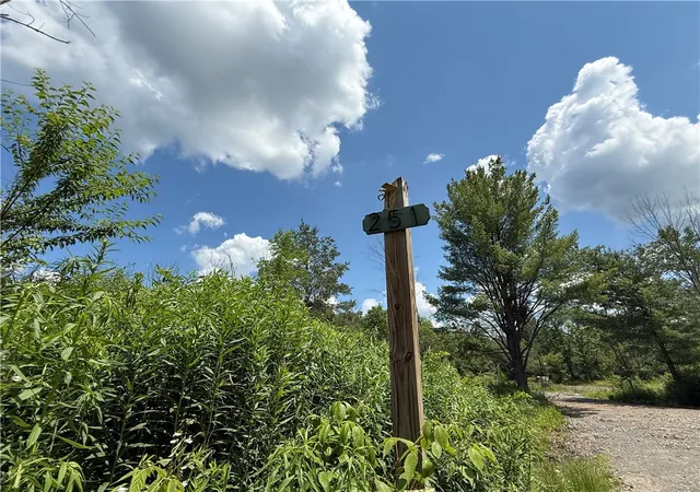 Homes for sale in Dryden, NY | Caswell Rd, Dryden, NY 13068 | MLS# R1694833