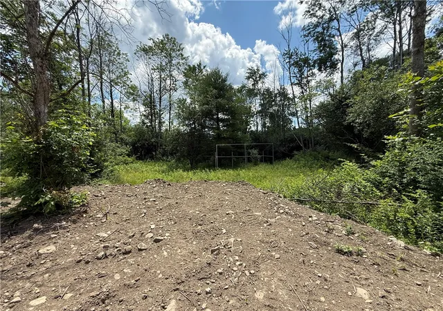 Homes for sale in Dryden, NY | Caswell Rd, Dryden, NY 13068 | MLS# R1694833